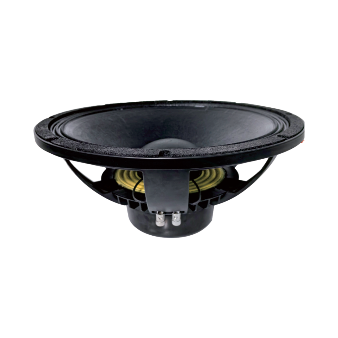 15NA100 – 15” High-Power Speaker